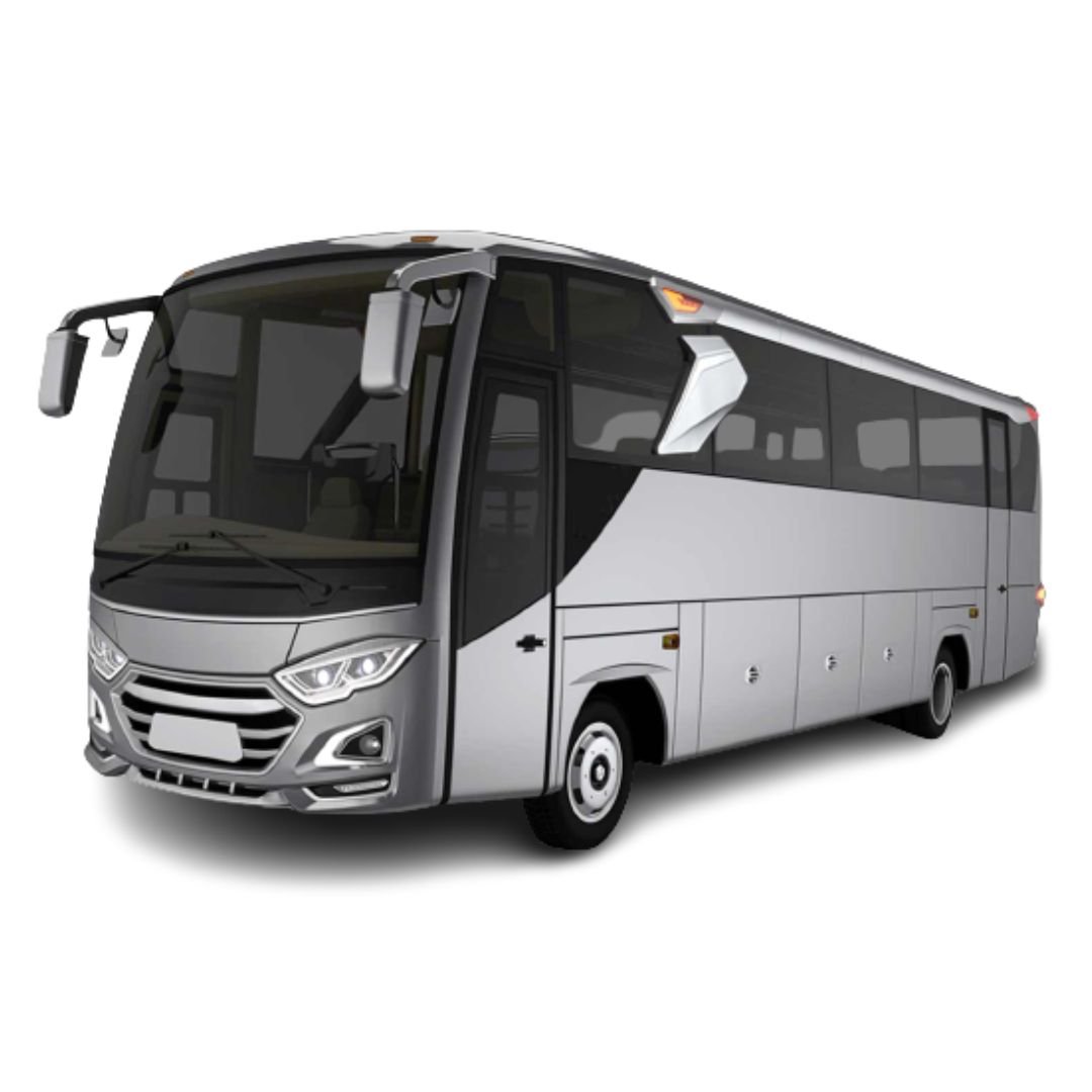 Medium Bus
